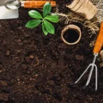 Farm Mechanization in Pakistan: The Missing Link to Agricultural Growth