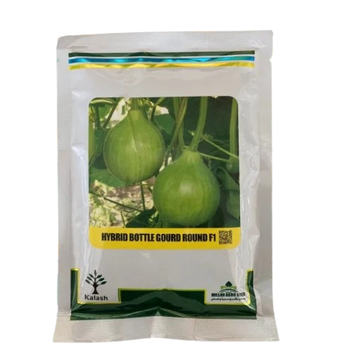 Hot Pepper Seeds | Variety Sadda Bahar F1 | SnS