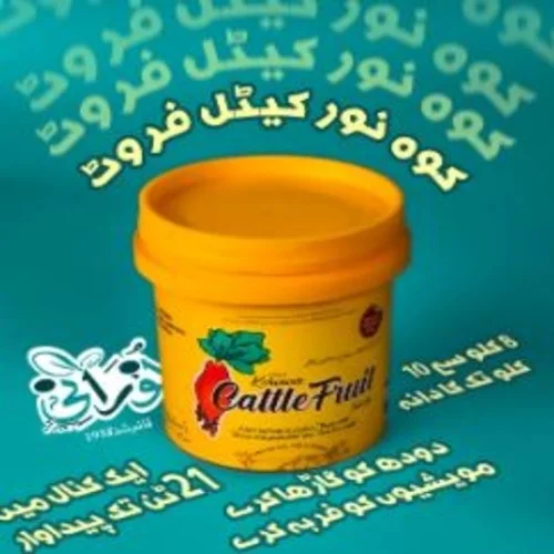 kohenoor cattle fruit 3000 seed bucket کوہ نور کیٹل فروٹ 3ہزار بیج کا پیک noorani seeds kohenoor cattle fruit 3000 seed bucket کوہ نور کیٹل فروٹ 3ہزار بیج کا پیک noorani seeds